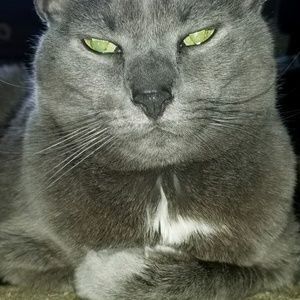 Meet your Posher, Jackie